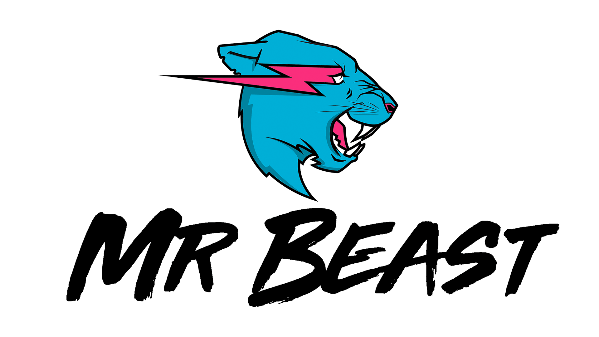 Marke: MRBEAST