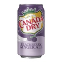 Canada Dry Blackberry Ginger Ale 355 ml